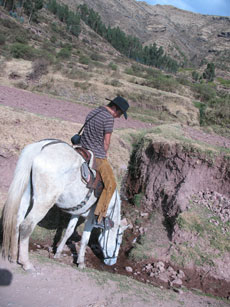 Le Paso P&eacute;ruvien - Randonn&eacute;e &agrave; cheval au P&eacute;rou - Randocheval